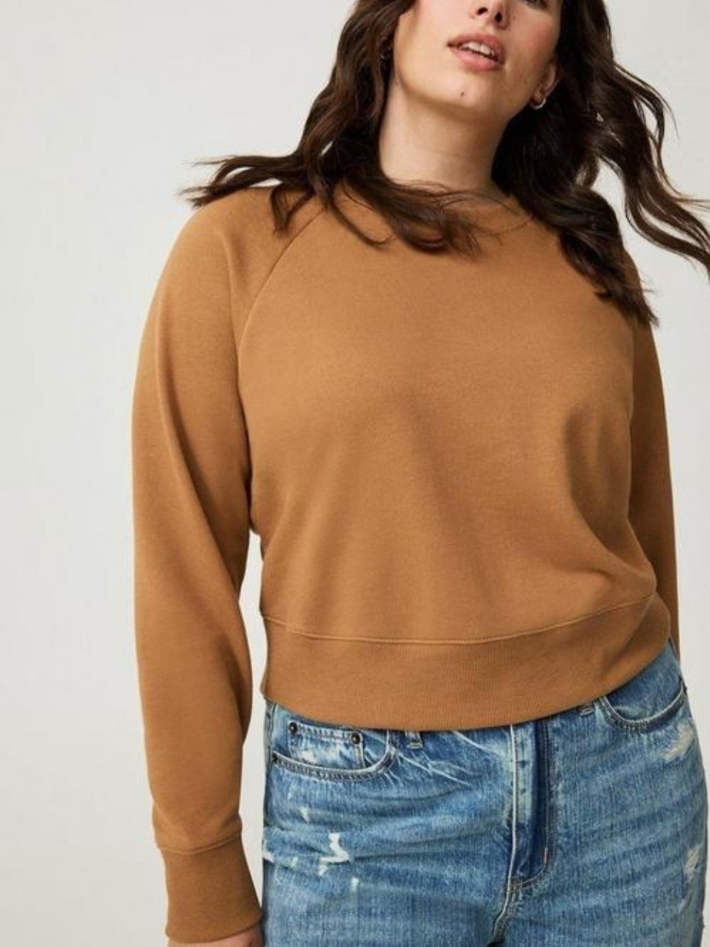 Torrid Cropped Crewneck French Terry Sweatshirt in Tobacco Brown Size 3 (22/24)